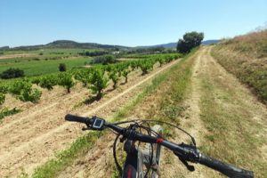 Penedes ecotours