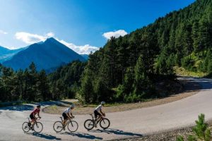Vallter 2000